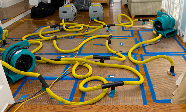Professional Crawl Space Water Removal technician working in Aurora, CO